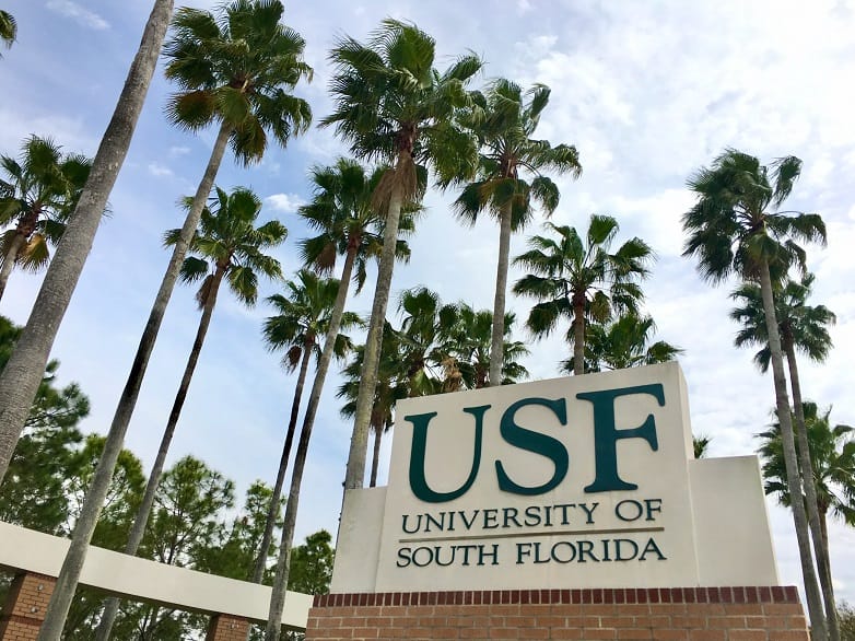 South Florida University