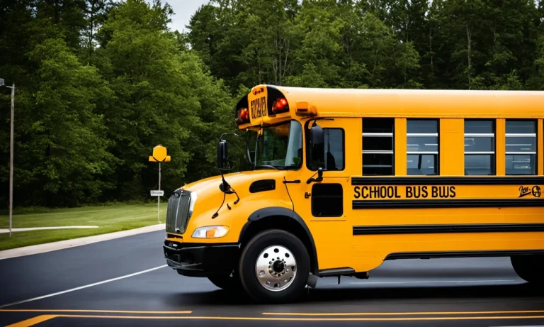 Do You Need A Cdl To Drive A School Bus?