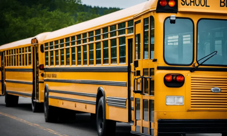 How Long Is A School Bus? A Detailed Look
