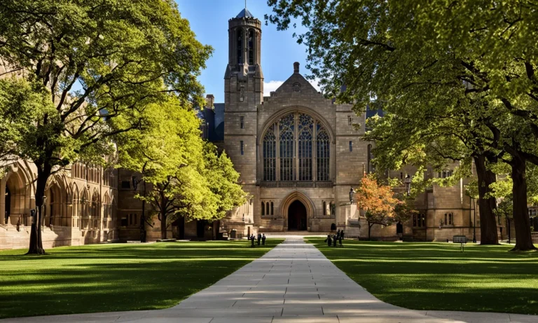 How To Get Into Yale Law School: The Ultimate Guide