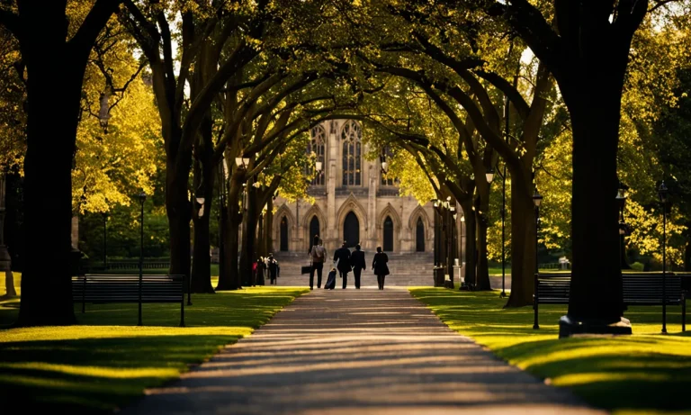Is Yale A Good School? An In-Depth Look