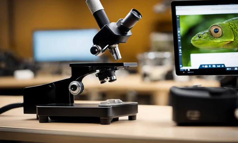 The Light Microscope: Most Common Types Used In School