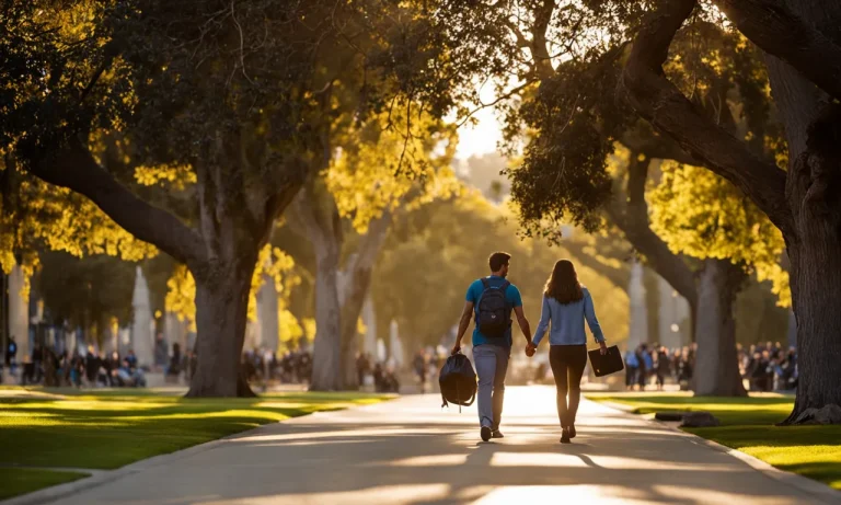 Uci Grad School Acceptance Rate: Evaluating Your Chances Of Admission