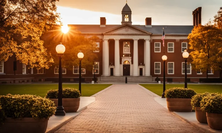 What Makes Ivy League Schools So Special?