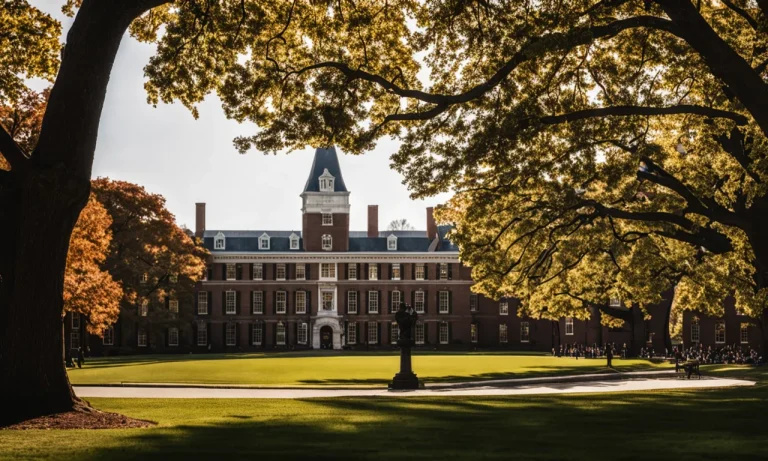 Why Are Ivy League Schools So Prestigious?